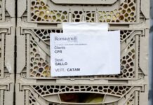 Le casse Redea di Cpr System integrano logistica e digitale in un sistema avanzato