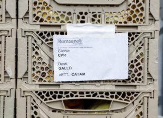 Le casse Redea di Cpr System integrano logistica e digitale in un sistema avanzato