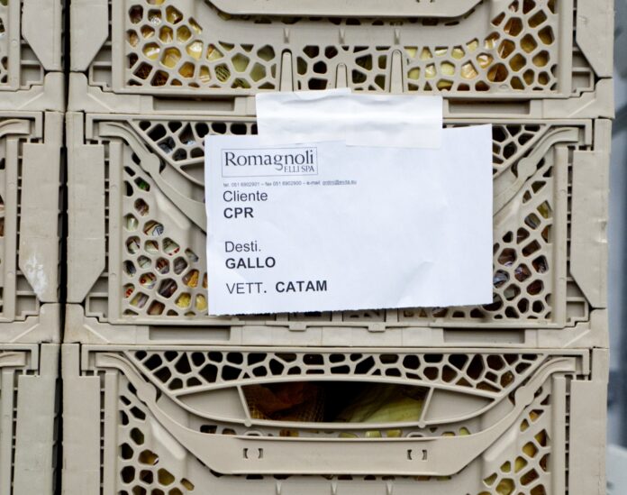 Le casse Redea di Cpr System integrano logistica e digitale in un sistema avanzato