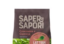 Selex e Agricola Moderna lanciano la linea da agricoltura verticale