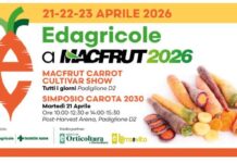 Edagricole a Macfrut 2026: la filiera della carota al centro del dibattito Appuntamento al padiglione 2 per il Simposio Carota 2030 e il Macfrut Carrot Cultivar Show
