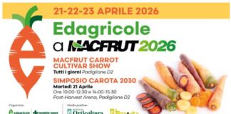 Appuntamento al padiglione 2 per il Simposio Carota 2030 e il Macfrut Carrot Cultivar Show