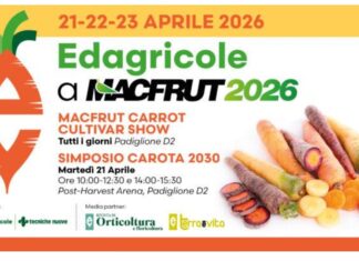 Appuntamento al padiglione 2 per il Simposio Carota 2030 e il Macfrut Carrot Cultivar Show