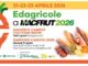 Appuntamento al padiglione 2 per il Simposio Carota 2030 e il Macfrut Carrot Cultivar Show