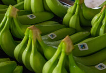 Banane certificate Fairtrade Italia