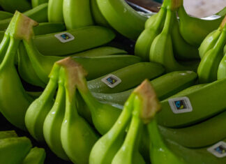 Banane certificate Fairtrade Italia
