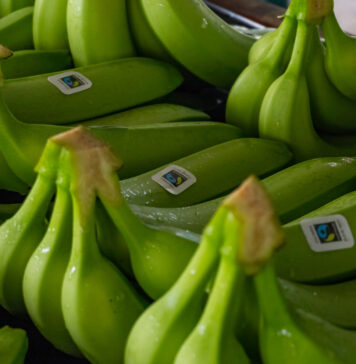 Banane certificate Fairtrade Italia