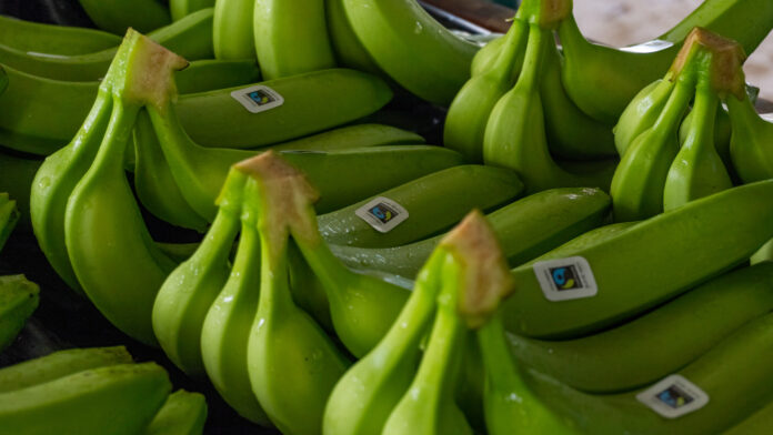 Banane certificate Fairtrade Italia