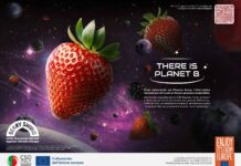 Il progetto Berry Swing &egrave; finanziato dall'Ue