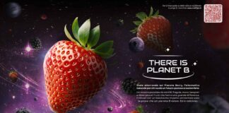 Il progetto Berry Swing è finanziato dall'Ue