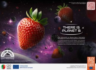 Il progetto Berry Swing è finanziato dall'Ue