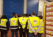 Dole Italia &egrave; impegnata in progetti di sostenibilit&agrave; sociale