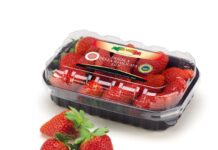 Apofruit a Macfrut 2026: nuove varietà e filiere italiane Le nuove Fragole della Basilicata Igp a marchio Solarelli