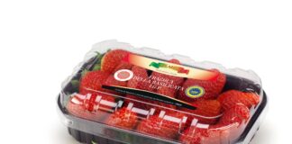 Le nuove Fragole della Basilicata Igp a marchio Solarelli