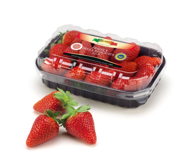 Le nuove Fragole della Basilicata Igp a marchio Solarelli