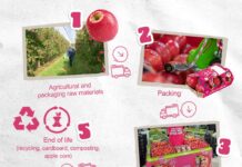 Pink Lady misura la sostenibilità della sua supply chain