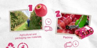 Pink Lady misura la sostenibilità della sua supply chain