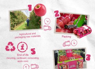 Pink Lady misura la sostenibilità della sua supply chain
