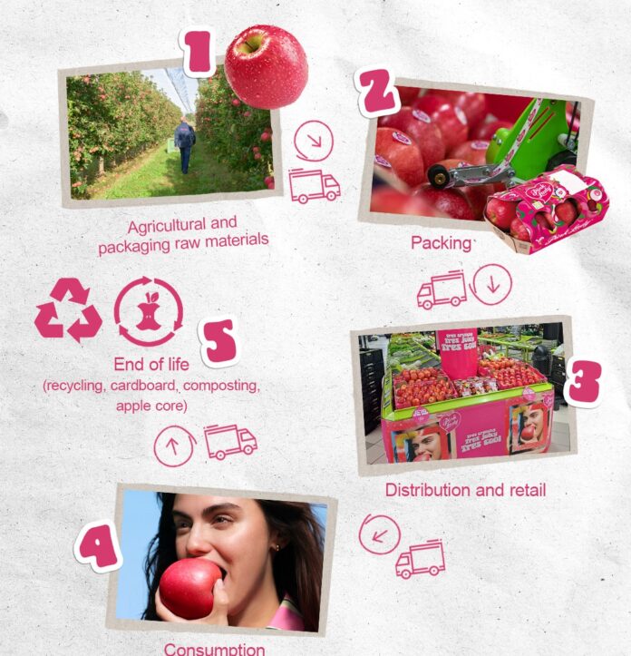 Pink Lady misura la sostenibilità della sua supply chain