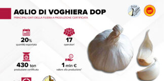 I dati della filiera Aglio di Voghiera Dop, un'eccellenza dell'Emilia-Romagna