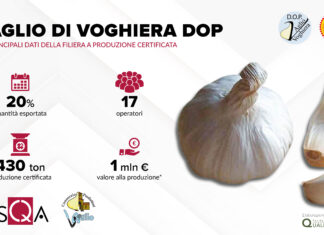 I dati della filiera Aglio di Voghiera Dop, un'eccellenza dell'Emilia-Romagna