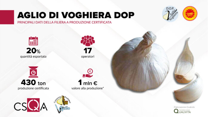 I dati della filiera Aglio di Voghiera Dop, un'eccellenza dell'Emilia-Romagna