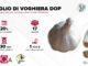 I dati della filiera Aglio di Voghiera Dop, un'eccellenza dell'Emilia-Romagna