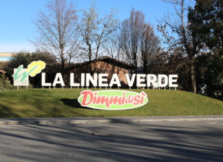 La Linea Verde cresce nel Nord Europa con due acquisizioni strategiche La Linea Verde, headquarters a Manerbio, in provincia di Brescia