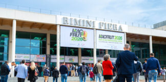 Grande attesa per l'inizio di Macfut