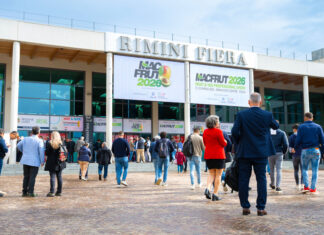 Grande attesa per l'inizio di Macfut