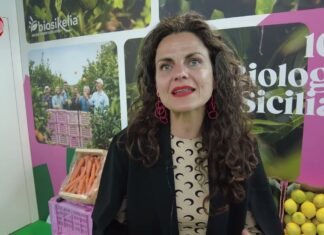 Biosikelia, la frutta tropicale siciliana destinata all’estero