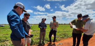 Le varietà di angurie senza semi Hazera sono coltivate in diversi areali produttivi delle Americhe