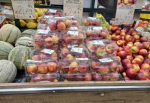 Andamento prezzi ortofrutta in Italia al 18 maggio 2026 Iniziata la commercializzazione di pesche e nettarine italiane