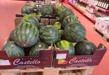 Crescono i volumi delle angurie