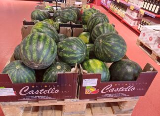 Andamento prezzi ortofrutta in Italia al 25 maggio 2026 Crescono i volumi delle angurie