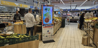 Aldo (Artificial Ludic Digital Operator), è un progetto sviluppato da Spettacoli alla Frutta