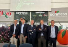 Agrintesa mette radici in Calabria: filiere innovative e investimenti Agrintesa-Gruppo Alegra. a Castrovillari. Da sinistra, Luigi Nola, Mauro Laghi, Cristian Moretti, Gianluca Gallo e Aristide Castellari