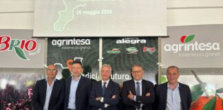 Agrintesa-Gruppo Alegra. a Castrovillari. Da sinistra, Luigi Nola, Mauro Laghi, Cristian Moretti, Gianluca Gallo e Aristide Castellari