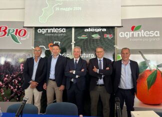 Agrintesa-Gruppo Alegra. a Castrovillari. Da sinistra, Luigi Nola, Mauro Laghi, Cristian Moretti, Gianluca Gallo e Aristide Castellari
