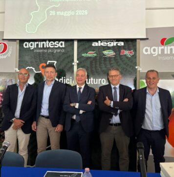 Agrintesa-Gruppo Alegra. a Castrovillari. Da sinistra, Luigi Nola, Mauro Laghi, Cristian Moretti, Gianluca Gallo e Aristide Castellari