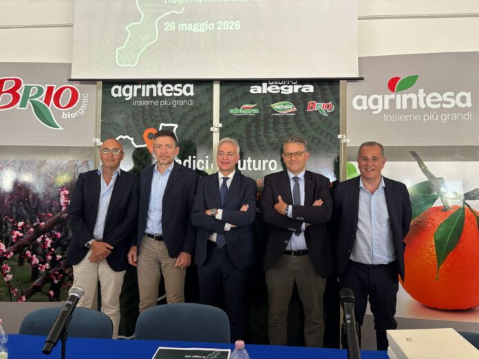 Agrintesa-Gruppo Alegra. a Castrovillari. Da sinistra, Luigi Nola, Mauro Laghi, Cristian Moretti, Gianluca Gallo e Aristide Castellari