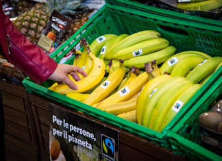 Fairtrade Italia 2025: banane protagoniste, cresce l’esotico prodotti certificati Fairtrade