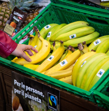 prodotti certificati Fairtrade