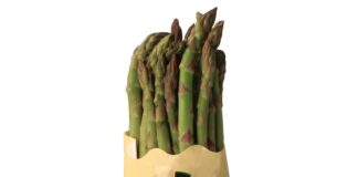 Brio Asparagi Alce Nero, con formati ridotti