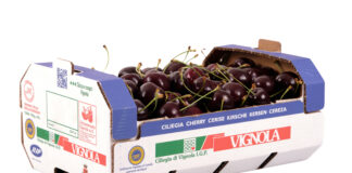 Cassetta Ciliegia di Vignola Igp