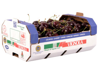Ciliegia di Vignola Igp, al via la campagna 2026 con 40-50 mila quintali attesi Cassetta Ciliegia di Vignola Igp
