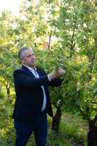 Natalino Gallo (Agricor)