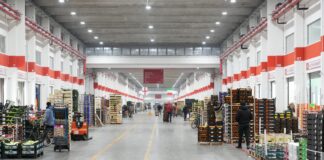Il mercato ortofrutticolo di Milano (credits Cherchi)
