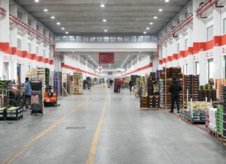 Milano fa squadra a Tuttofood: filiera urbana integrata dal mercato alle mense Il mercato ortofrutticolo di Milano (credits Cherchi)