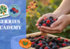 Dopo l&rsquo;Avocado Academy, Spreafico d&agrave; vita alla Berries Academy